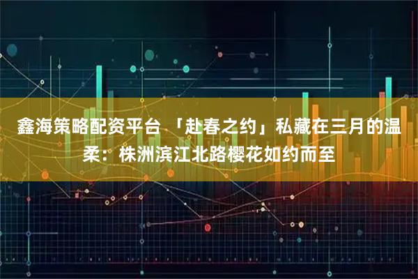 鑫海策略配资平台 「赴春之约」私藏在三月的温柔：株洲滨江北路樱花如约而至
