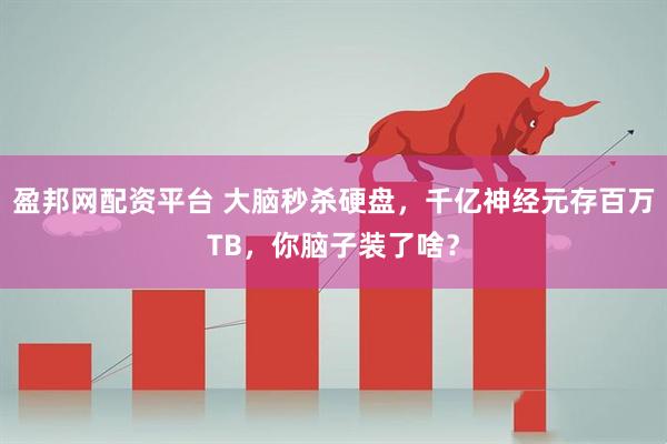 盈邦网配资平台 大脑秒杀硬盘，千亿神经元存百万TB，你脑子装了啥？